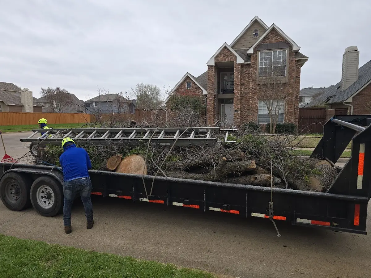 Expert Tree Pest Control with proper safety equipment in Naubinway